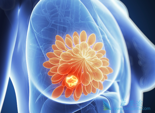 分子靶向治疗 分子靶向治疗