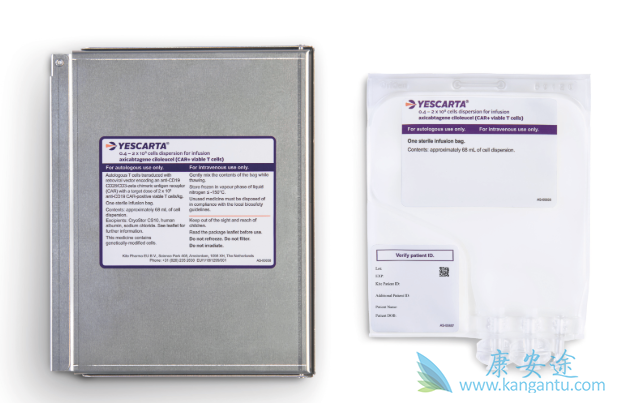 CAR-T疗法 CAR-T疗法