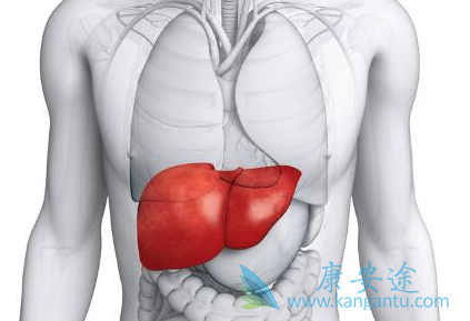 乙肝两对半对照表 乙肝两对半对照表