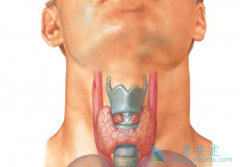 �Լ�״�ٰ�������֢״���˽��ǵ��²��ܼ�ʱ���Ƶ���Ҫԭ��