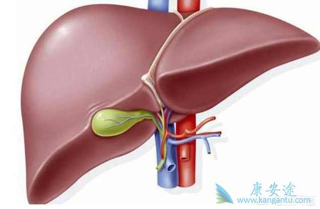 干扰素的副作用 干扰素的副作用