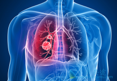 �������ڷΰ��۰����Ƶİ���ҩ������Щ��