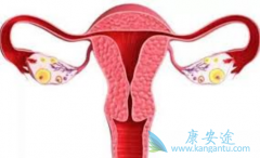 ���������ѳ����ȸ����������ڻ�����Щ����֢״��