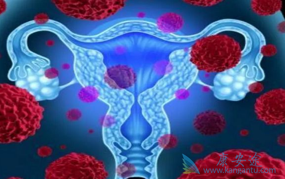 妇科肿瘤 妇科肿瘤