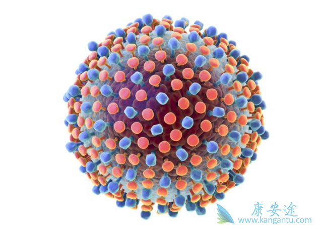 干扰素能治好丙肝吗 干扰素能治好丙肝吗