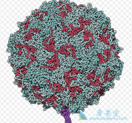 ��������ײ�������ܹ���Ϊ���ƽ���ĸϸ������������