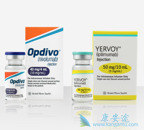 CTLA-4单抗 CTLA-4单抗