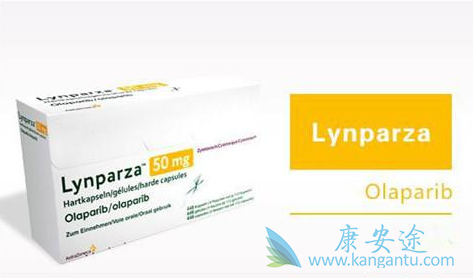 奥拉帕尼 奥拉帕尼