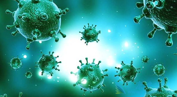 乙肝病毒 乙肝病毒