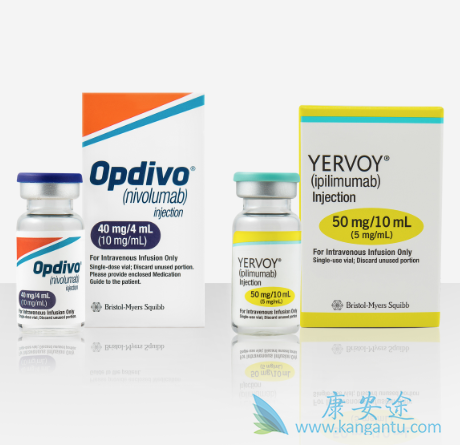 纳武单抗 纳武单抗