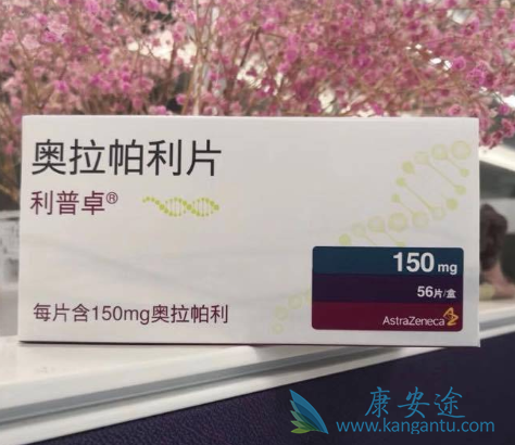 奥拉帕利 奥拉帕利