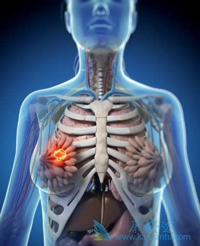 乳腺癌内分泌治疗 乳腺癌内分泌治疗