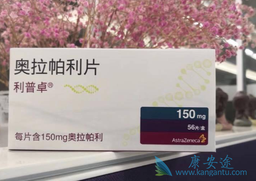 PAPR抑制剂 PAPR抑制剂