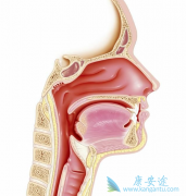 ���ʰ�������ô���ƣ��������Ƕ��٣�