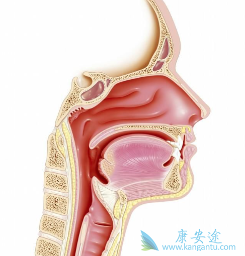 鼻咽癌三期 鼻咽癌三期