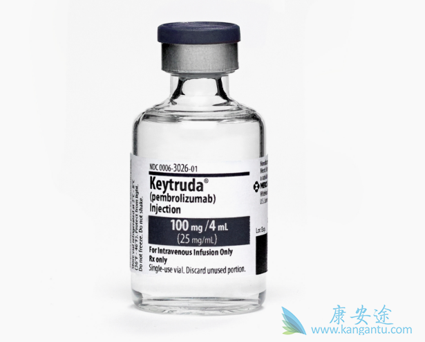 派姆单抗 派姆单抗