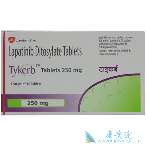 拉帕替尼 拉帕替尼