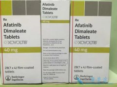 EGFR���Ƽ���������(afatinib)�����Ĳ�����Ӧ����ο��ƣ�