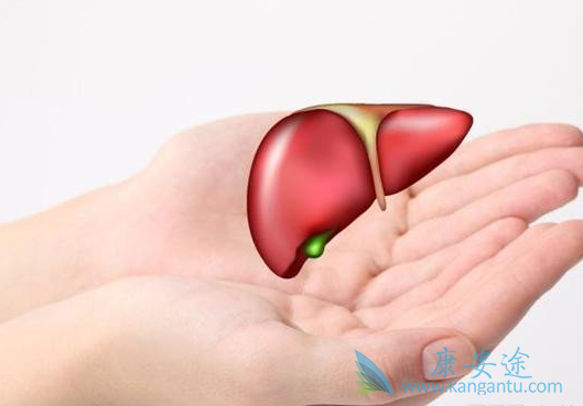 丙肝抗体 丙肝抗体