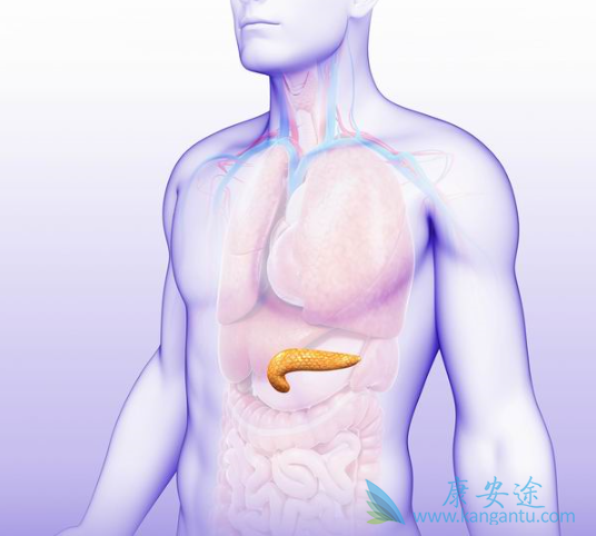 吉西他滨 吉西他滨