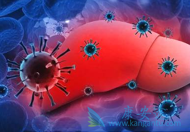 丙肝病毒 丙肝病毒