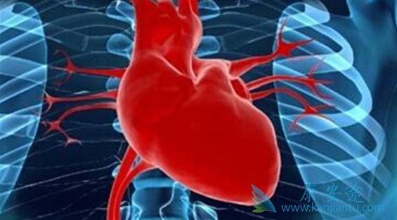 肺动脉高压 肺动脉高压