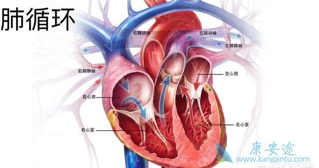 肺动脉高压 肺动脉高压