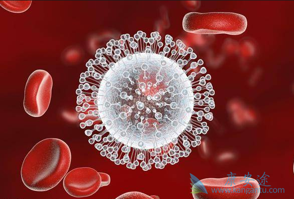 丙肝病毒 丙肝病毒