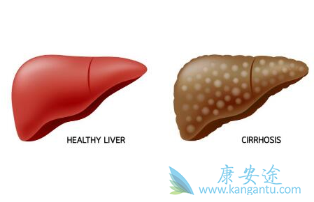 乙肝表面抗原 乙肝表面抗原