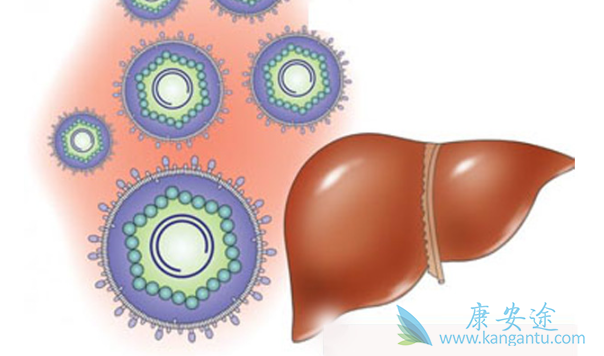 丙型肝炎病毒 丙型肝炎病毒