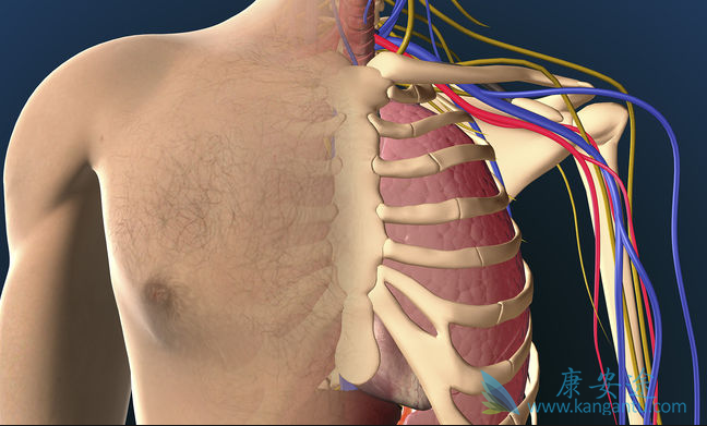 肺动脉高压 肺动脉高压