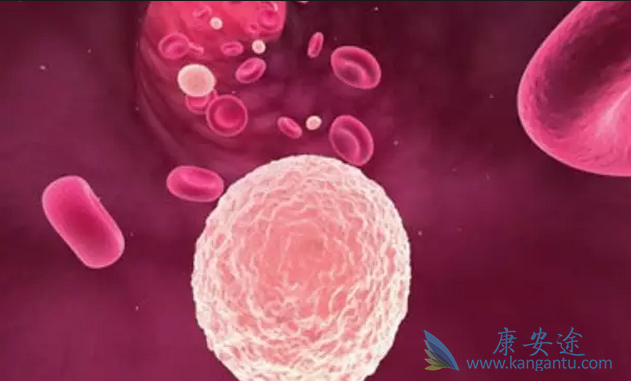 骨髓增生异常综合症 骨髓增生异常综合症