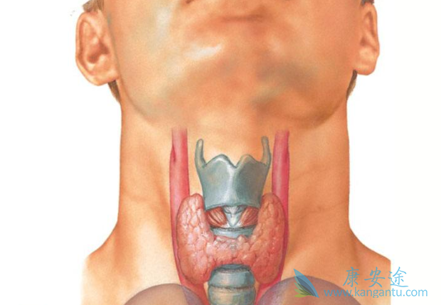 甲状腺肿瘤严重吗 甲状腺肿瘤严重吗