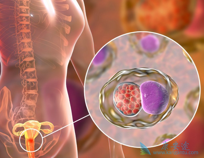 宫颈癌能治好吗 宫颈癌能治好吗