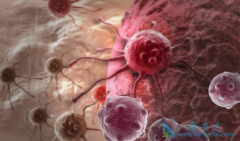 ���������������������������Щ���֣�