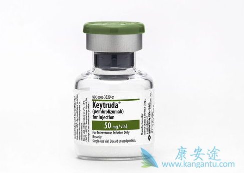 小细胞肺癌 小细胞肺癌