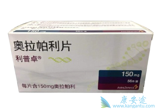 PARP抑制剂 PARP抑制剂