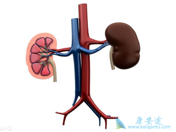 肾癌晚期 肾癌晚期