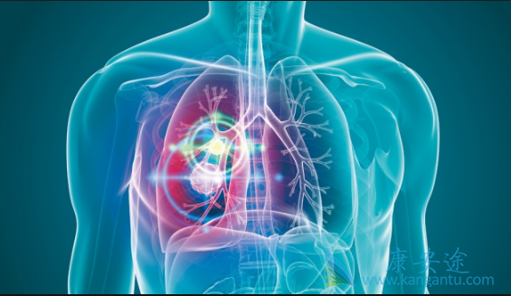 达克替尼 达克替尼