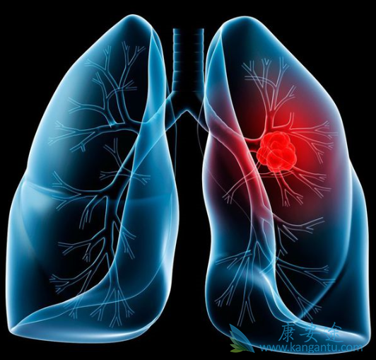 达克替尼 达克替尼