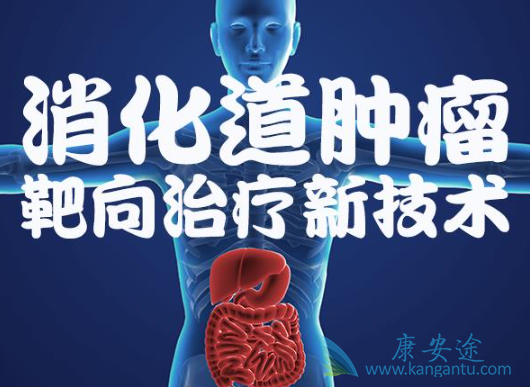 消化道肿瘤 消化道肿瘤