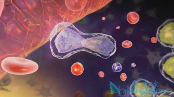 白血病症状 白血病症状