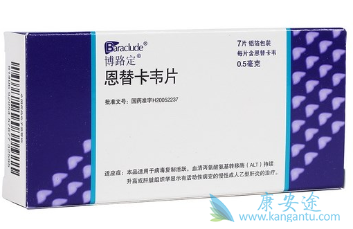 恩替卡韦 恩替卡韦