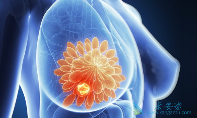 吡咯替尼 吡咯替尼