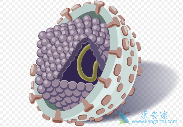 丙肝怎么治疗 丙肝怎么治疗