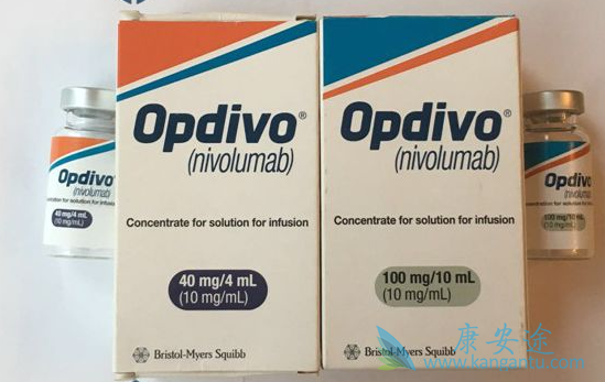 纳武单抗 纳武单抗