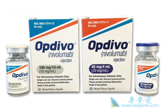 纳武单抗 纳武单抗