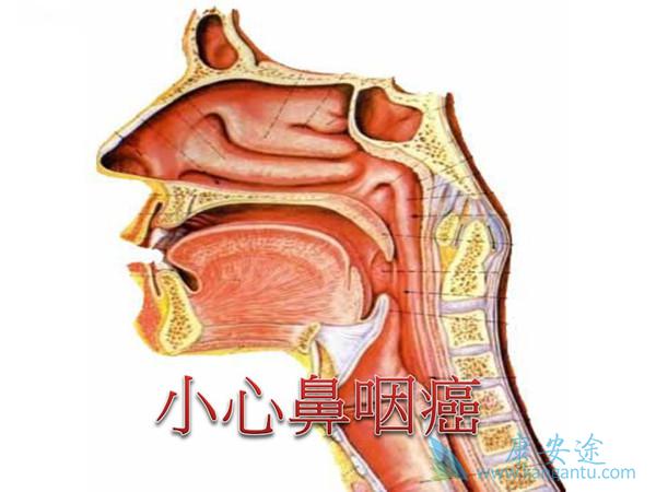 鼻咽癌存活率 鼻咽癌存活率