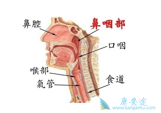 鼻咽癌三期 鼻咽癌三期