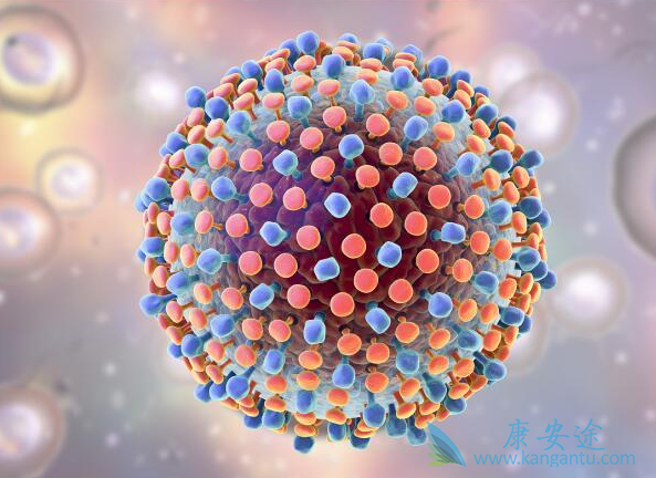 丙肝病毒 丙肝病毒